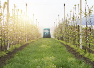 Zetrack E-Farming, nekazaritzara makineria jasangarriagoa eta autonomoagoa eramatea helburu duen startupa