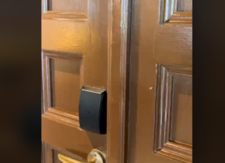 Graba un ‘house tour’ en Zanzíbar y lo que entra por la puerta sorprende a todos