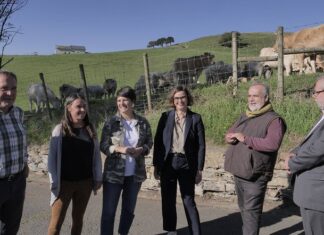 Bizkaia invierte 4,9 millones en un nuevo plan de acción consensuado con el sector primario para impulsar su actividad
