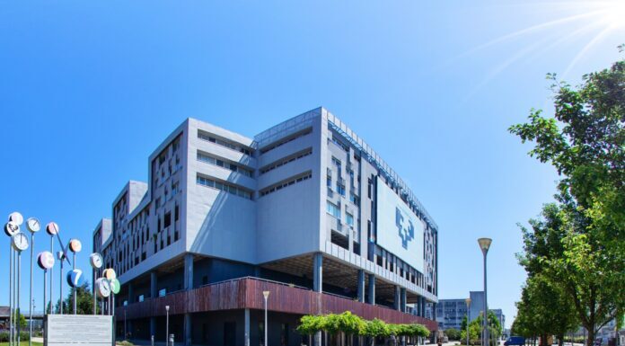 Shanghaiko espezialitateen araberako sailkapenean, UPV/EHU munduko 500 unibertsitate onenen artean dago 19 diziplinatan