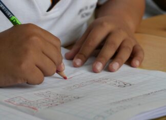 TIMSS 2023 txostenaren arabera, Nafarroa Hezkuntzan ekitate handiena duen bigarren autonomia-erkidegoa da Espainian