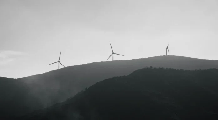 Industriak 2,9 milioi euro bideratu ditu trantsizio energetikoko ekintzak bultzatzeko bost laguntza-deialdi egiteko