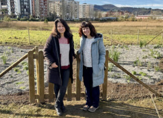 Zarauzko Udalak Iritako hezegunearen garapena osatu du