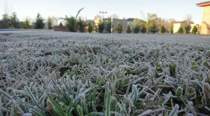 Permanece activo el aviso amarillo por temperaturas mínimas y heladas en el interior de Gipuzkoa