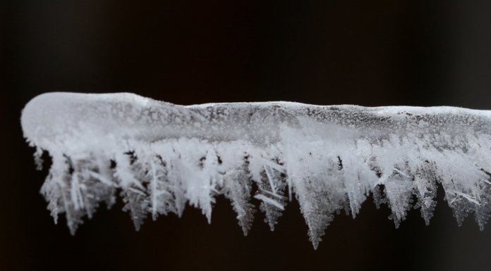 Continúan las temperaturas mínimas y heladas en el interior de Bizkaia