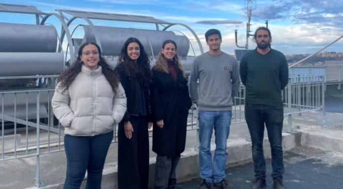 Roseo Eólica Urbana, eraikinetarako hiriko aerosorgailuak garatzen dituen Portugaleteko startupa – SPRI
