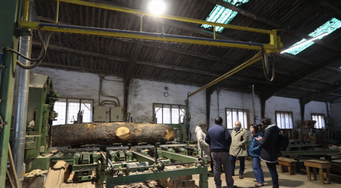 Ingurumenak 1,2 milioiko laguntza deialdi berri bat abiarazi du zuraren industriaren eraldaketa bultzatzeko