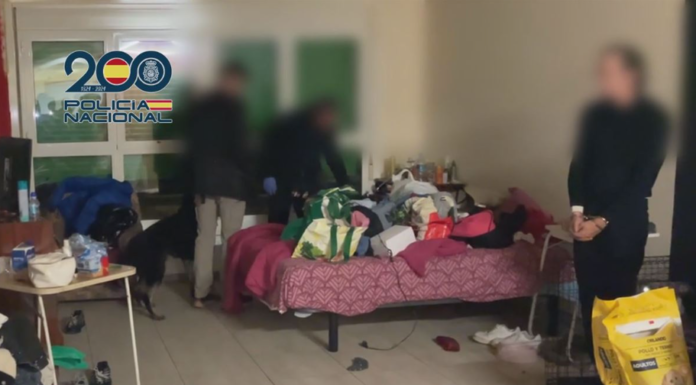 Seis detenidos en Bizkaia por estafar más de 150 000 euros en la venta de cachorros y teléfonos