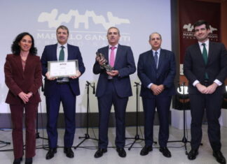 Lointek, Marcelo Gangoiti Sariaren XXVIII. edizioko irabazlea