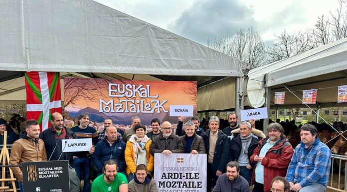 Abadiño acogerá la primera edición del campeonato de esquilar ovejas de Euskal Herria