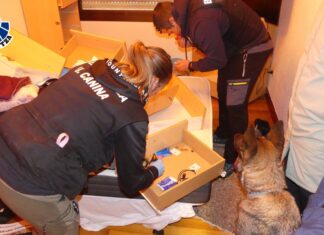 Detenido en Loiu un quinto integrante de un grupo criminal especializado en robos en viviendas
