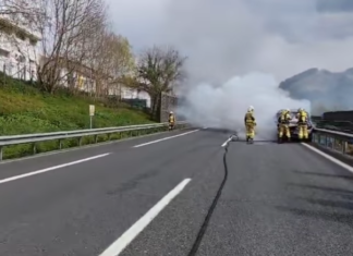 Fallece el conductor de una furgoneta en la autopista AP-8, en Berriz