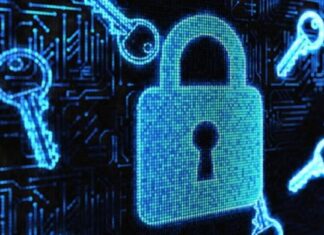 Cyberzaintzak simulakro bat antolatu du zibersegurtasunerako erakundearteko mahaia osatzen duten organismoak indartzeko