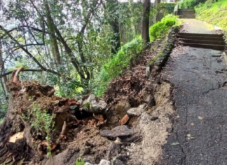 Cerrado el acceso a Urgull desde Gaztelubide y San Telmo tras la caída de un árbol