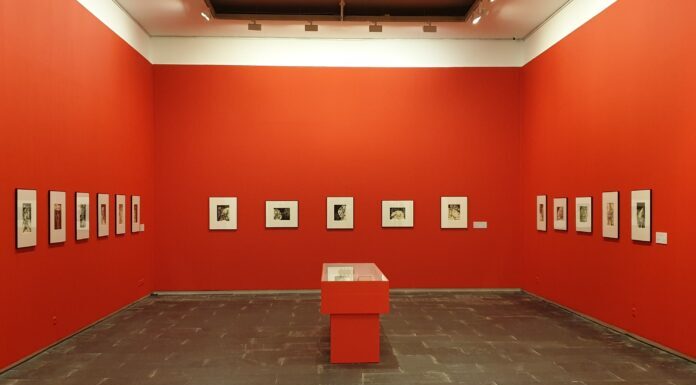 Kulturak 205.500 euro erabiliko ditu museo eta bilduma museografiko iraunkorren funtzionamendua finantzatzeko
