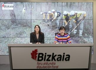 Bizkaia registra en 2024 la menor incidencia de incendios forestales de los últimos 30 años