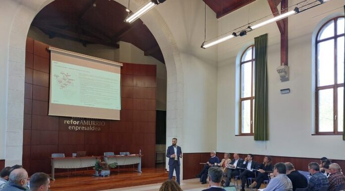 Aiaraldeko Eskualdeko Plan Estrategikoak eskualdearen eraldaketan aurrera egiten du, dagoeneko 20 milioi inguru inbertituta
