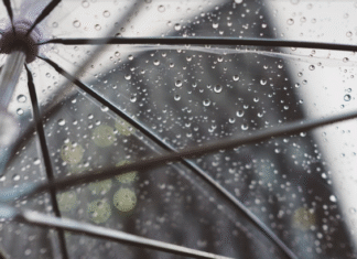 Aviso amarillo por precipitaciones intensas en el interior de Bizkaia, a partir del mediodía