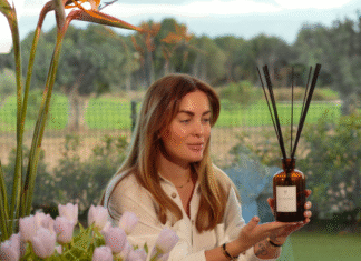 Difusor de aromas para el hogar o el taller: ¿cómo elegir la fuente de fragancia perfecta?