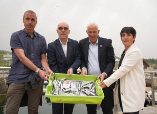 El 73% de la cuota de verdel y el 30% de la de anchoa ya han sido capturadas