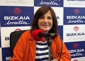Lide Amilibia: «Gizarte zerbitzuen sistema informatiko bakarra diseinatzeko lanean ari gara»