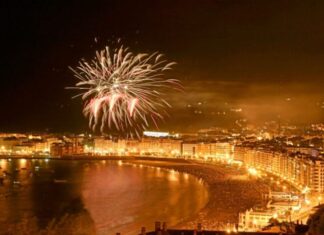 Goia cree que pedir suspender los fuegos artificiales por bienestar animal «nos lleva casi al absurdo»