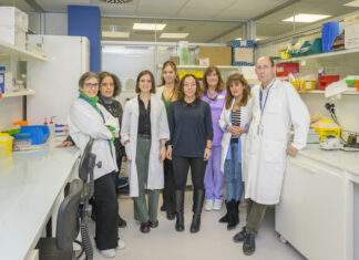 Euskadi impulsa un proyecto piloto de cribado para la detección precoz de diabetes tipo 1 en población pediátrica
