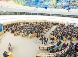 Justizia eta Giza Eskubideen Sailak eta UN Etxeak zortzi euskal gazteri bekak eman dizkiete NBEn giza eskubideak babesteko alorrean trebatzeko