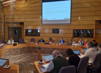 Amaia Antxustegi presenta en Juntas Generales la evaluación del primer Plan de Transición de Cuidados de Larga Duración