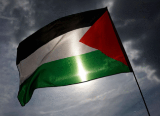 ELA convoca un paro el 15 de octubre para pedir a gobiernos y empresas la suspensión de relaciones con Israel