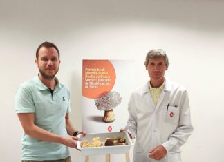 Ya está en marcha el servicio de identificación de setas del Ayuntamiento de Bilbao