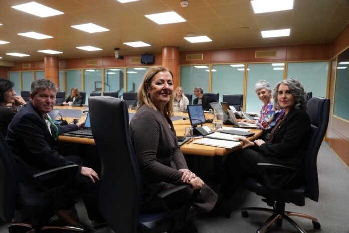 20251112_Kultura__Euskara_eta_Kirol_Batzordea__15_-696x464-1