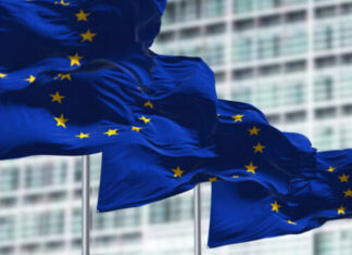 Euskadik Europaren eraikuntzarekin duen konpromisoa berresten du, balioak partekatuta eta esperientzietatik ikasita