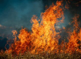 Euskadi activa el riesgo de incendios forestales