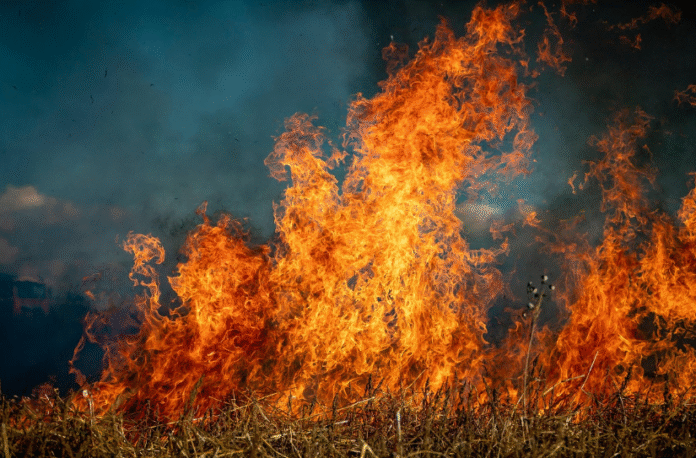 Captura-de-pantalla-2025-11-04-115840-696x458-1