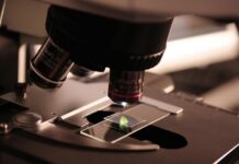 Zientziari eta Teknologiari buruzko Foru Legea eguneratzeak aukera emanen du berrikuntzaren ekosistema indartzeko eta genero berdintasuna bermatzeko