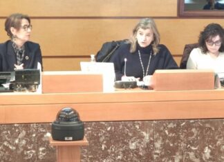 Aldundiak Emakumeen eta Gizonen Berdintasunerako VII. Foru Plana. 2025-2029 aurkeztu du Batzar Nagusietan