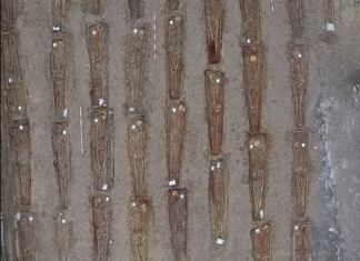 Maria Jesus San Jose sailburuak eta Alberto Alonso zuzendariak Manuel Leon Gomez Urduñako espetxe frankistaren biktimaren gorpuzkiak eman dizkiote familiari