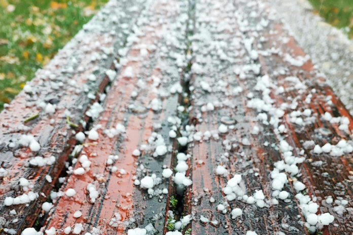 pexels-kristina001-34429004-696x464-1