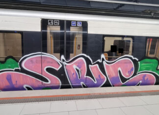 Cuatro jóvenes arrestados en Bedia tras sabotear una vía ferroviaria y pintar un tren de Euskotren