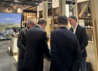 Euskadik distira egiten du Wine Paris 2026-n: bederatzi euskal upategik gure ardoen bikaintasuna erakusten dute Parisko hiriburuan