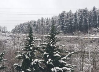 La nieve regresará este sábado al interior de Gipuzkoa con la cota rondando los 800 metros