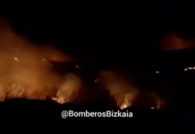 Efectivos de Bizkaia y Cantabria sofocan un incendio forestal en el límite de Karrantza