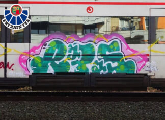 Identificados los autores de los grafitis realizados en la estación de Muskiz tras alardear de sus actos en redes sociales