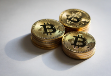 La Ertzaintza investiga más de 500 denuncias vinculadas a criptomonedas registradas el pasado año