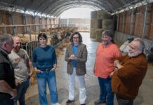 Bizkaia apoya al primer sector con cerca de 2,5 millones de euros en el primer año del Suspertze Plana