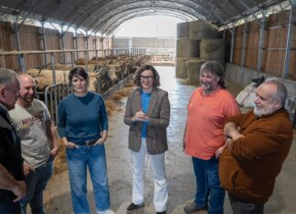 Bizkaia apoya al primer sector con cerca de 2,5 millones de euros en el primer año del Suspertze Plana