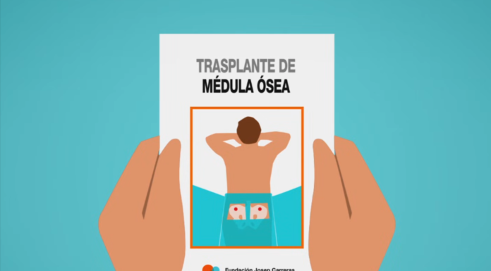 Osakidetza hace un llamamiento a los jóvenes vascos para aumentar las donaciones de médula ósea