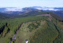 Más de 4,1 millones de euros para mejorar los montes de 69 municipios de Bizkaia