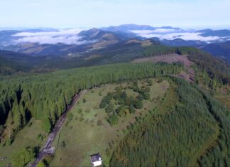 Más de 4,1 millones de euros para mejorar los montes de 69 municipios de Bizkaia
